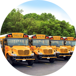 parked school buses in a row